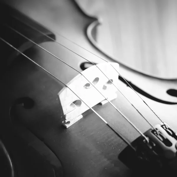 Tempo di praticare violino in bianco e nero stile tono di colore — Foto Stock