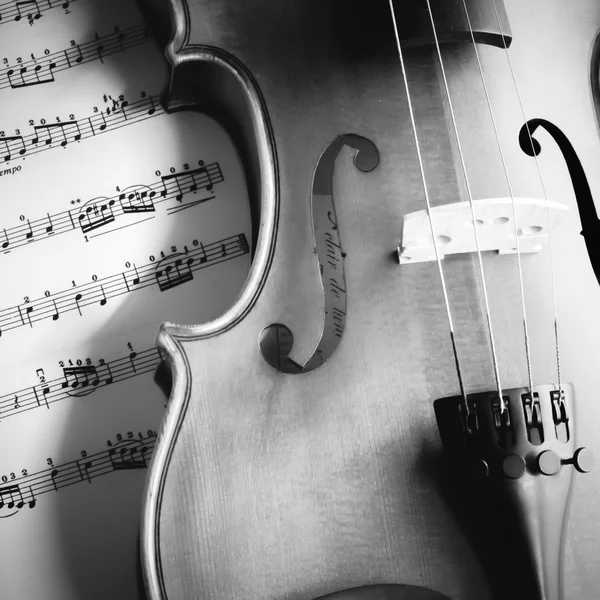 Tempo para praticar violino estilo tom de cor preto e branco — Fotografia de Stock