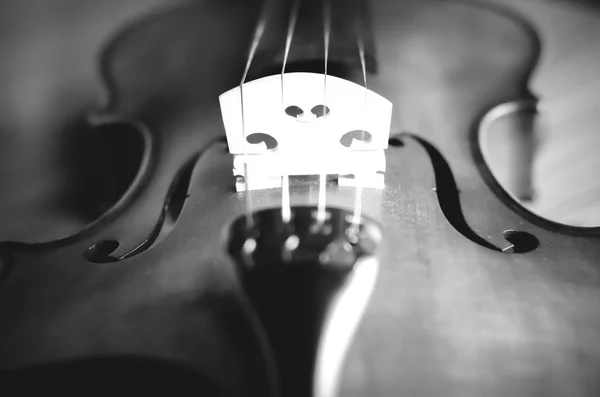 Čas na praxi housle černé a bílé barvy tónu styl — Stock fotografie