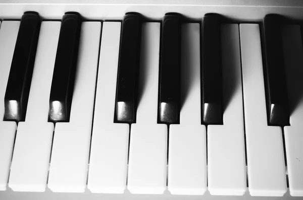 Piano keys black and white color tone style Stock Image