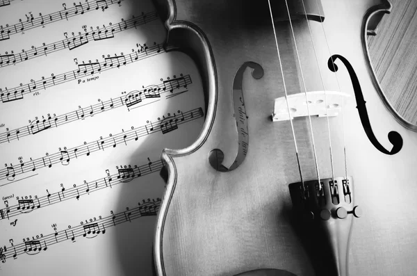 Скрипка с нотами — стоковое фото