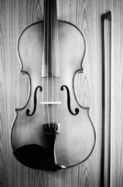 Violin black and white color tone style — Stock Photo, Image