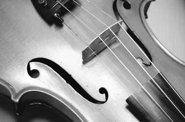 Violino bianco e nero tono di colore stile — Foto Stock