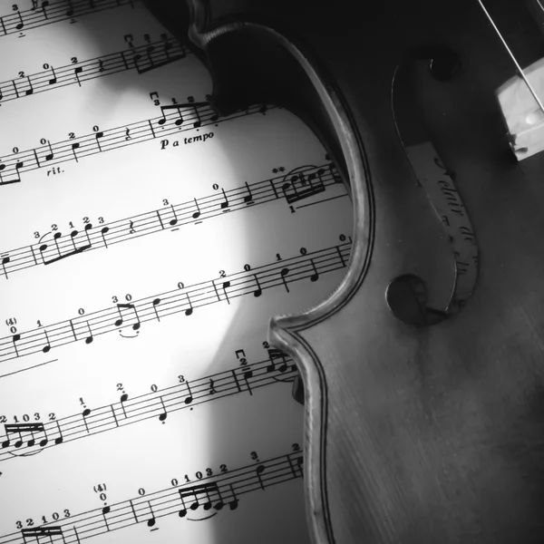 Time to practice violin black and white color tone style — Stock Photo, Image