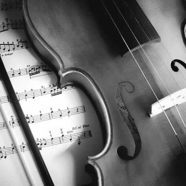 Time to practice violin black and white color tone style — Stock Photo, Image