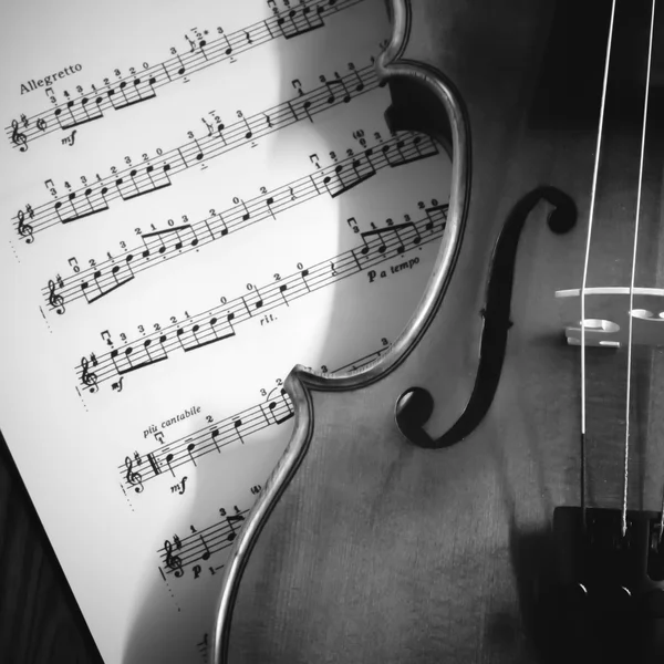 Tempo di praticare violino in bianco e nero stile tono di colore — Foto Stock