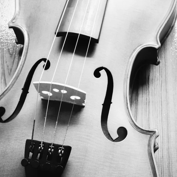 Violino su fondo legno colore bianco e nero tono stile — Foto Stock