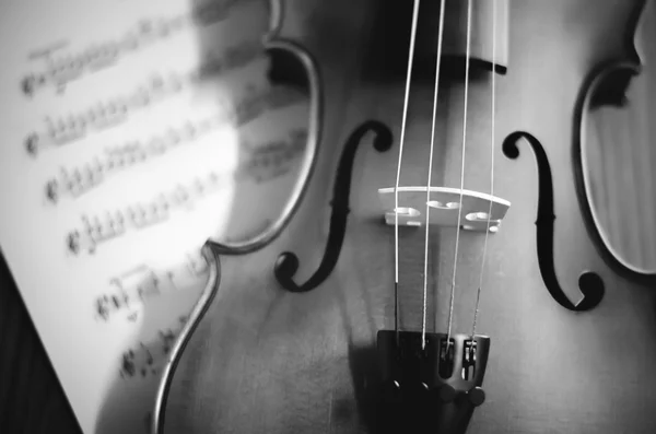Tempo para praticar violino estilo tom de cor preto e branco — Fotografia de Stock
