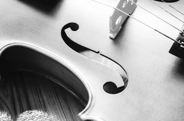 Violino su fondo legno colore bianco e nero tono stile — Foto Stock