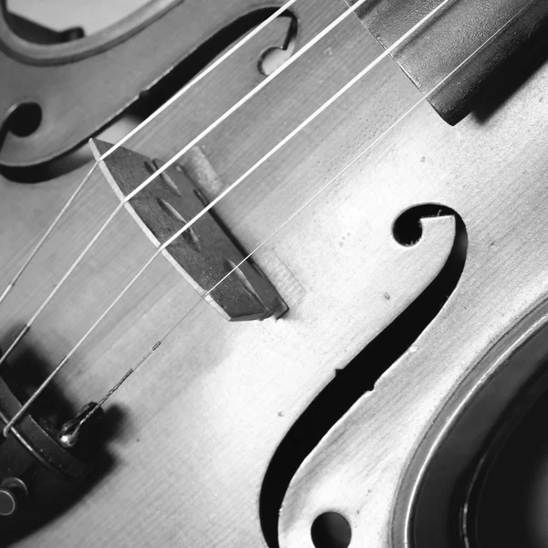 Violine schwarz und weiß Farbton Stil — Stockfoto