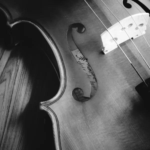 Timp pentru a practica stilul tonului de culoare alb-negru vioară — Fotografie, imagine de stoc