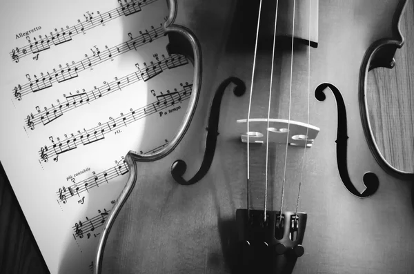 Temps de pratiquer le violon noir et blanc ton style — Photo