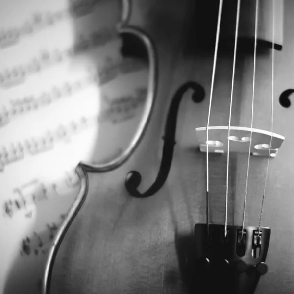 Violino com partituras — Fotografia de Stock