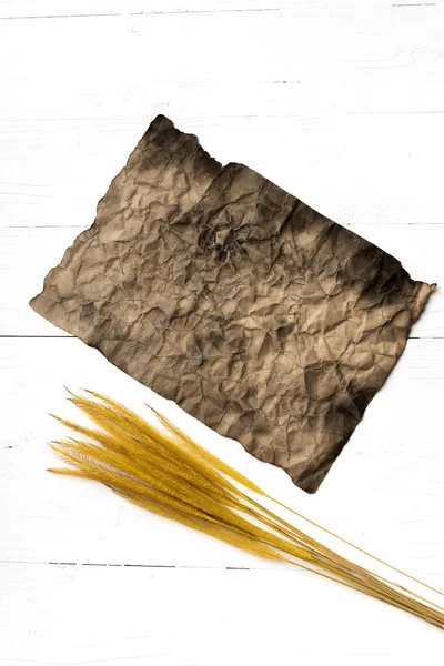 Papel marrom velho e trigo — Fotografia de Stock