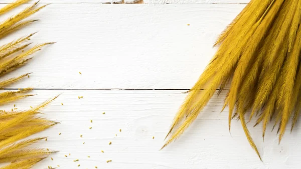 Color amarillo del trigo —  Fotos de Stock