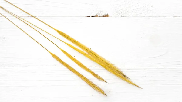 小麦の黄色 — ストック写真