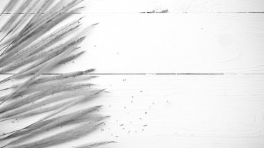 Buğday siyah ve beyaz renk