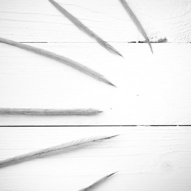 Buğday siyah ve beyaz renk