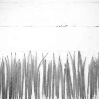 Buğday siyah ve beyaz renk