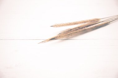 buğday vintage tarzı