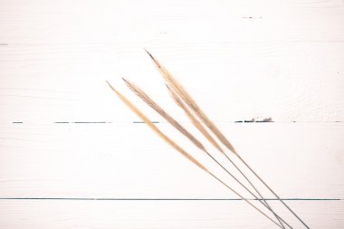 buğday vintage tarzı