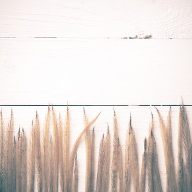 buğday vintage tarzı