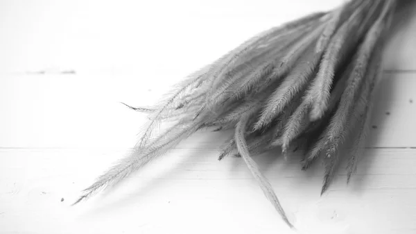 Пшеница черно-белый цвет — стоковое фото
