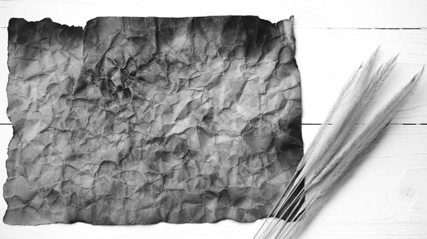 Old brown paper and wheat black and white color — Stock Photo, Image