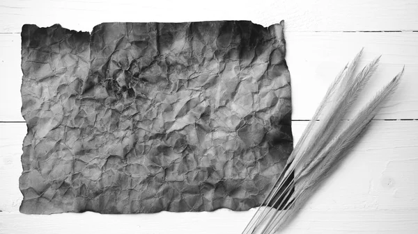 Old brown paper and wheat black and white color — Stock Photo, Image