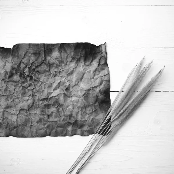 Old brown paper and wheat black and white color — Stock Photo, Image