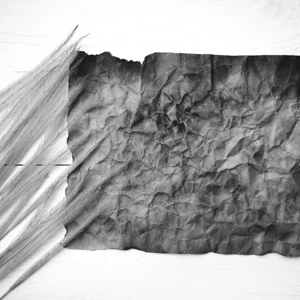 Eski kahverengi kağıt ve buğday siyah ve beyaz renk — Stok fotoğraf