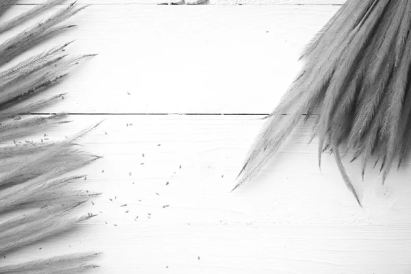Buğday siyah ve beyaz renk — Stok fotoğraf