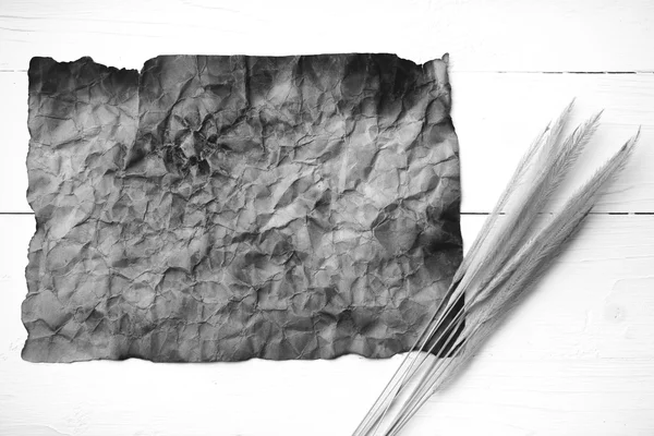 Old brown paper and wheat black and white color — Stock Photo, Image