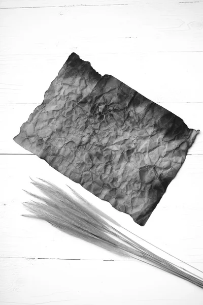 Stary papier brązowy i pszenicy czarno-biały kolor — Zdjęcie stockowe
