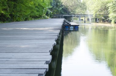 Küçük orman doğa şekilde