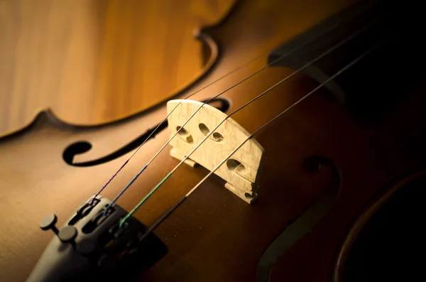 时间练习小提琴 — 图库照片