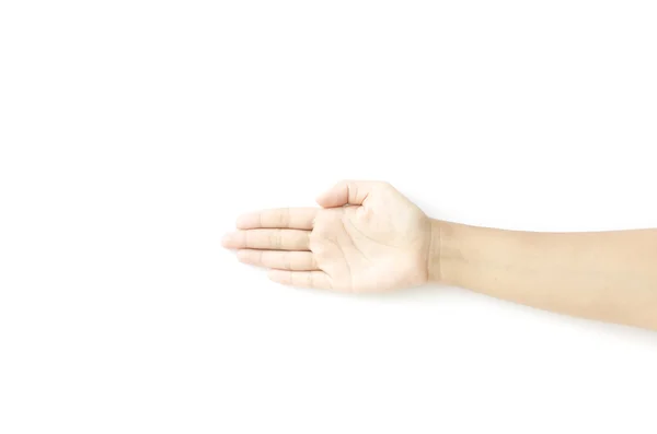 Open hand isolated background — Stock Photo, Image