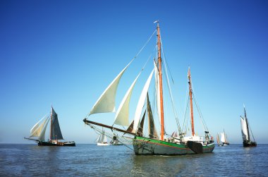 Fleet of traditional sailing ships clipart