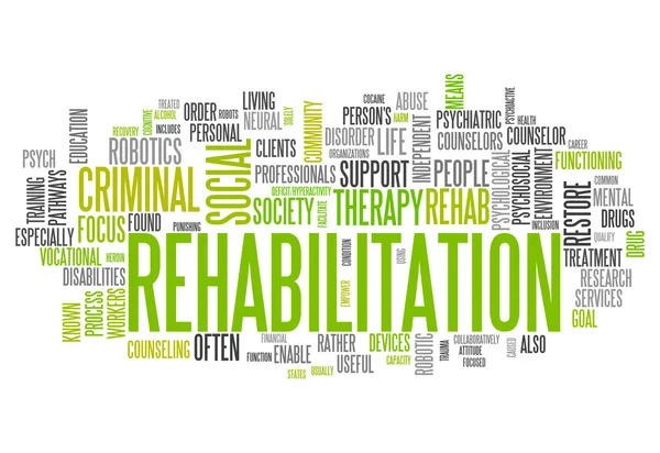 The Role of Mental Health Treatment in the Rehabilitation of Offenders: A Public Health Perspective | Stock Photo