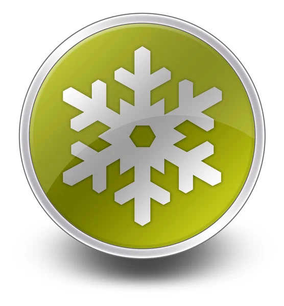 Ícone, Botão, Pictograma Recreação de Inverno — Fotografia de Stock