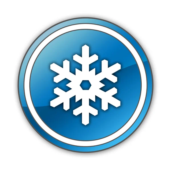 Icon, Button, Pictogram Winter Recreation — Stock Photo, Image