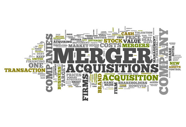 Word Cloud Merger & Acquisitions