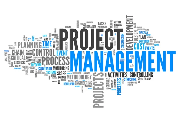 Word Cloud Projektmanagement — Stockfoto