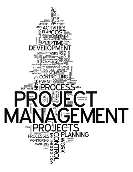 Word Cloud Project Management — Stock Photo, Image