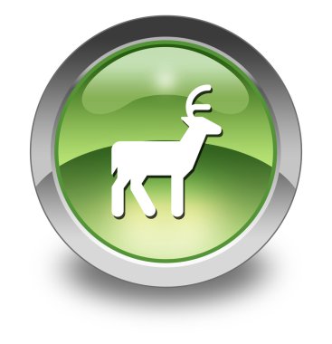 Simge, düğme, piktogram geyik