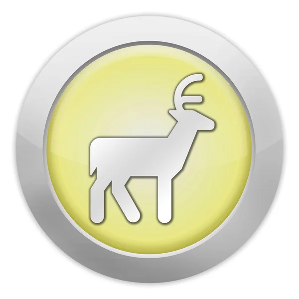 Icon, Button, Pictogram Deer — Stock Photo, Image