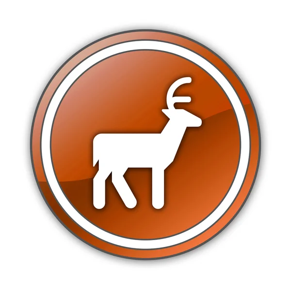 Icon, Button, Pictogram Deer — Stock Photo, Image