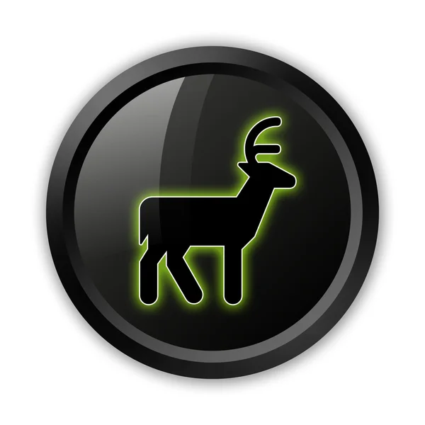 Icon, Button, Pictogram Deer — Stock Photo, Image