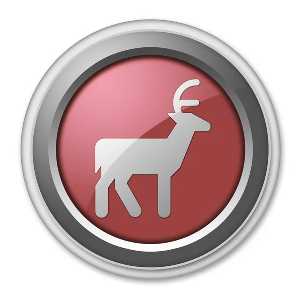 Icon, Button, Pictogram Deer — Stock Photo, Image