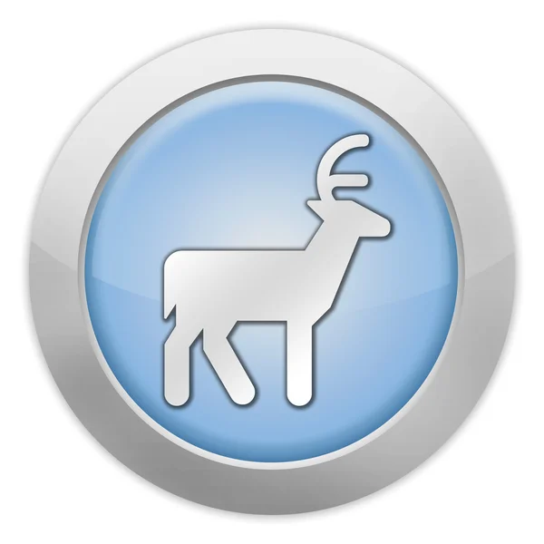 Icon, Button, Pictogram Deer — Stock Photo, Image